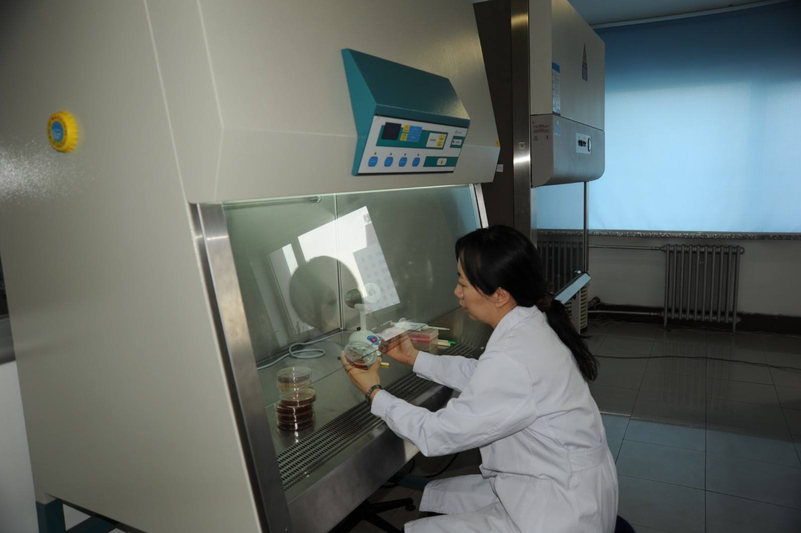 微生物無菌實驗室建設要點